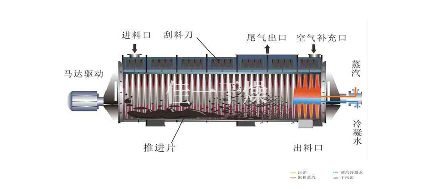 9421569286885384.jpg 1.jpg